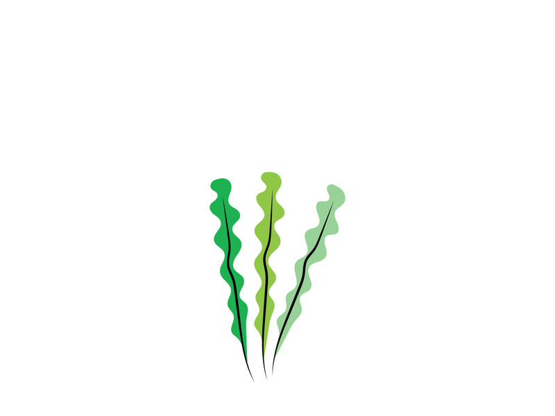 seaweed vector illustration template