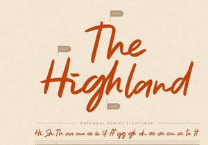 Natureal Script - Elegant Font