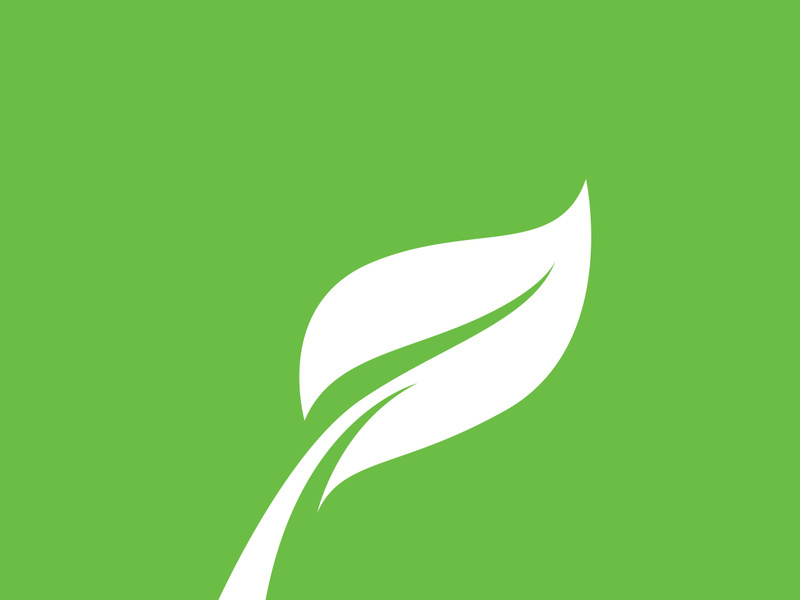 Leaf logo green nature vector image