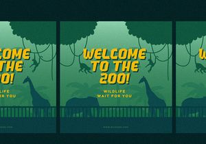 Stoneage | Display Font