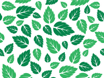 Mint Leaf icon template  illustration preview picture