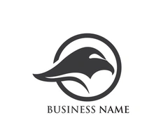 Falcon Eagle bird Logo Template vector illustration design