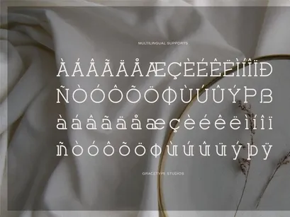 Corina Elegant | Modern Slab Serif