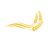 Agriculture wheat rice icon