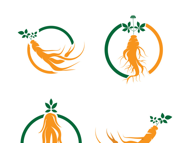 Ginseng logo design template and symbol icon vector illustration