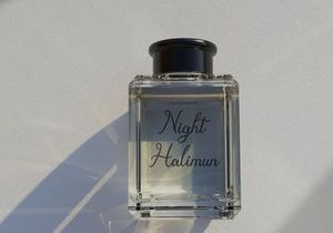 Estalion Linier | Handwritten Vintage Script