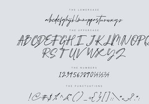 Schrödinger’s Signature Font