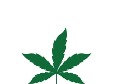 Canabis leaf logo and symbol vector