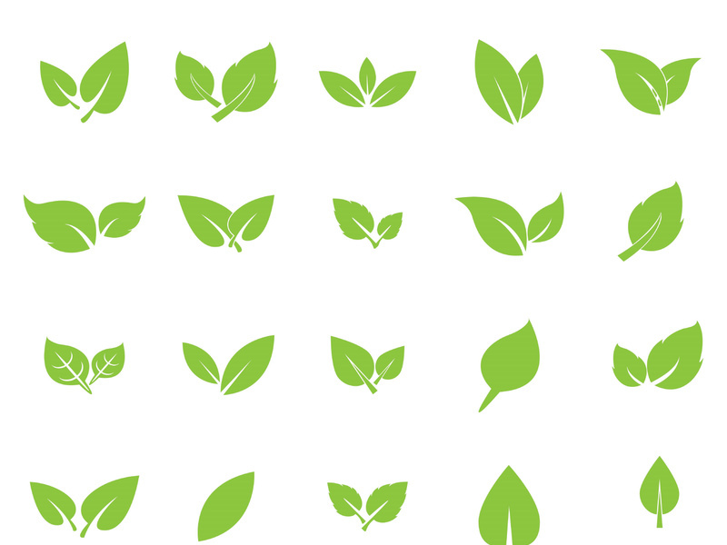 Leaf logo vector icon design template