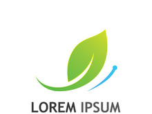 Natural green leaf logo design.