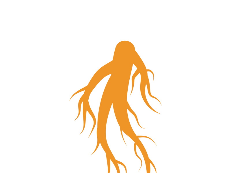 Ginseng logo design template and symbol icon vector illustration