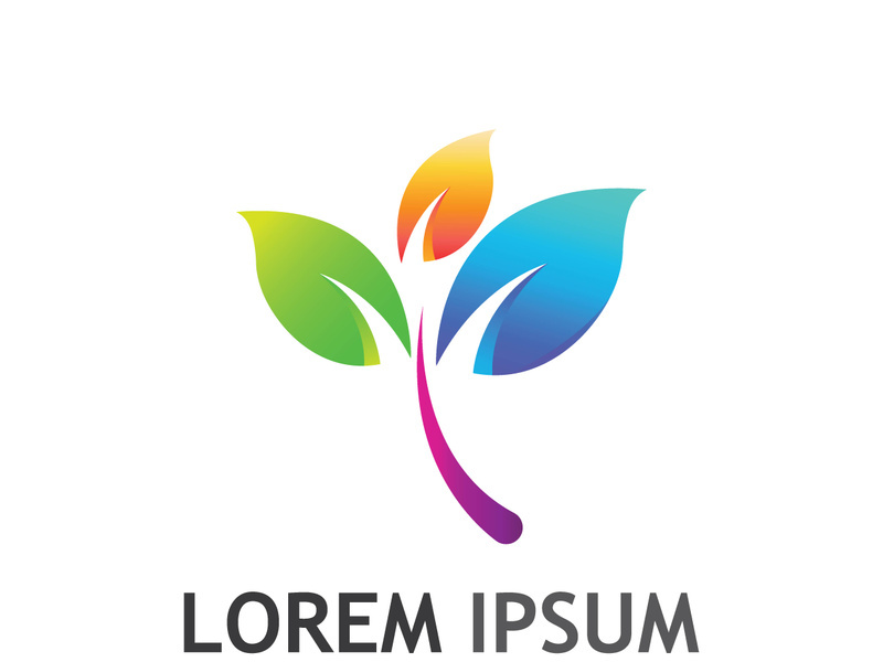 Colorful natural leaf logo design.