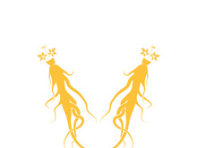 Ginseng logo design template and symbol icon vector illustration