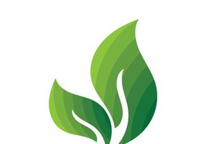 Leaf logo