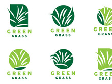 Green Grass Logo, Nature Plant Vector