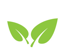 Leaf logo vector icon design template