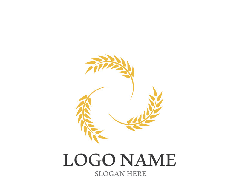 Wheat logo vector icon illustration design