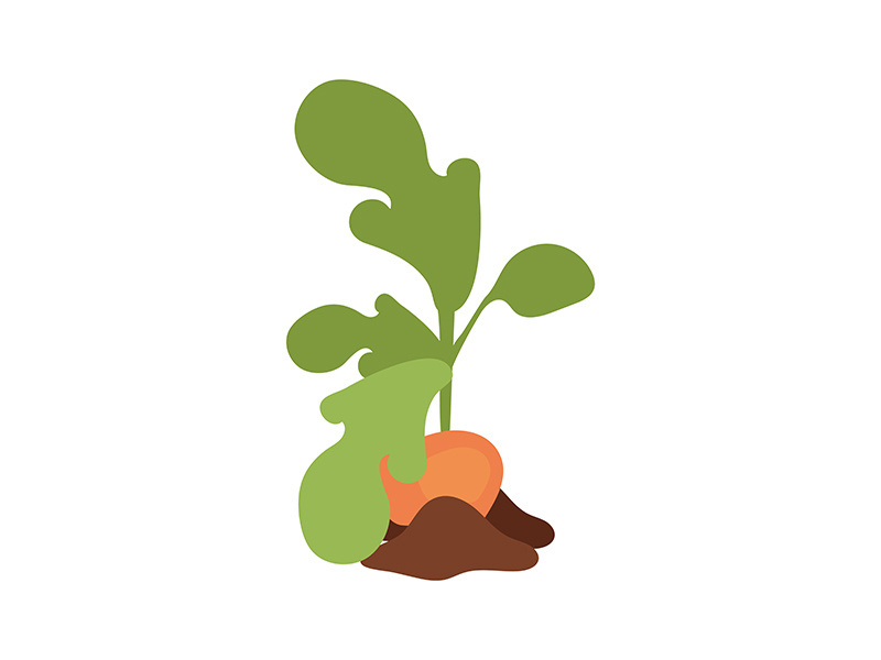 Sweet potato plant semi flat color vector object