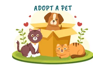15 Pet Adopt Illustration
