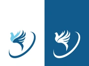 Dove bird logo vector design illustration