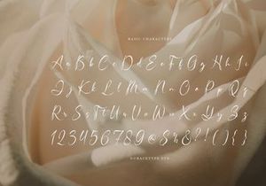 Haniquta | Beauty Calligraphy Script