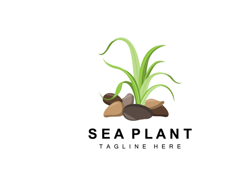 Seaweed Logo, Sea Plants Vector Design, Grocery And Nature Protection