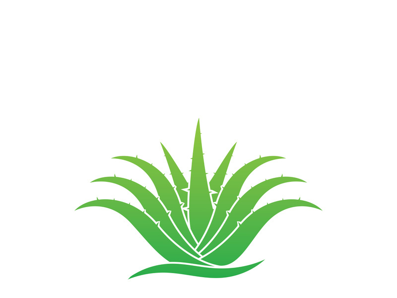 Aloe Vera logo icon design symbol beauty skin care