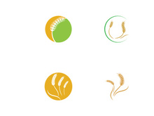 Wheat or cereal logo, wheat field and wheat farm logo.With easy and simple editing.