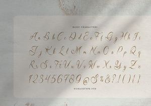 Del Lante | Elegant Calligraphy Script