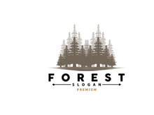 Forest Logo, Vector Forest Wood With Pine Trees Design
