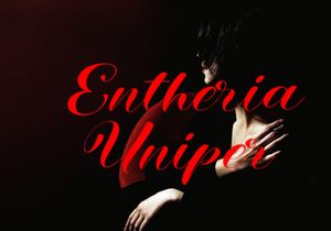 WONDER VARELIA - Script Calligraphy Font