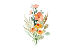 Vector Flower Watercolor Illustration