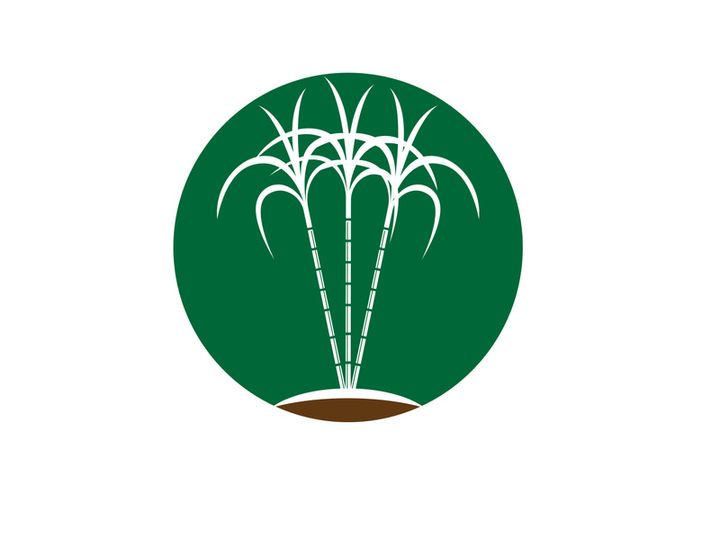 Sugarcane logo vectcr