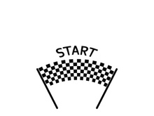 Race flag logo