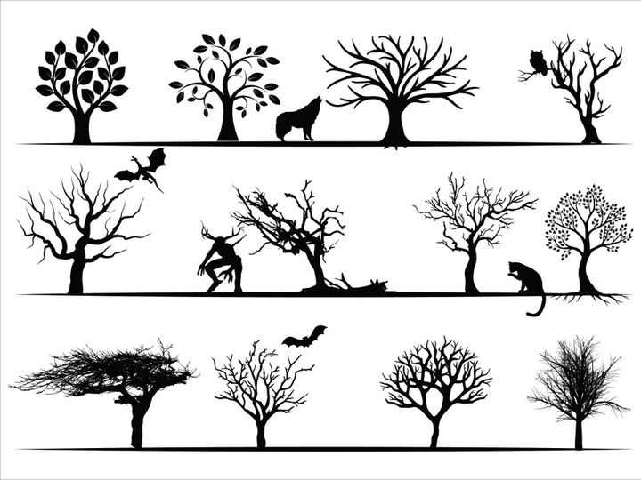 Trees Silhouettes Collection