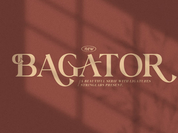 Bagator - Classic Serif Font preview picture