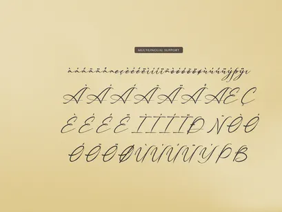Palmintte | Handwritten Script
