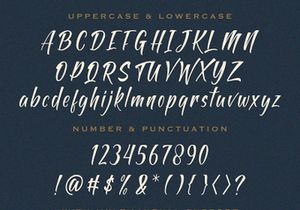 Antapin - Bold Script Font
