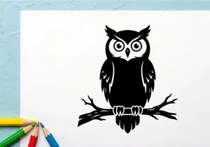 Stylized black and white owl illustration on branch for nature design