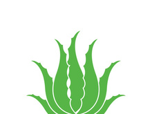 Aloe Vera logo icon design symbol beauty skin care