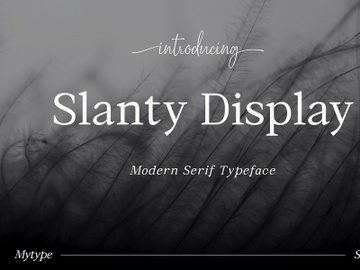 Slanty Display Serif Font preview picture