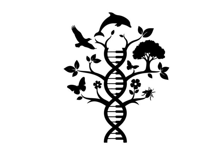 DNA Tree of Life with Animals and Plants Vector