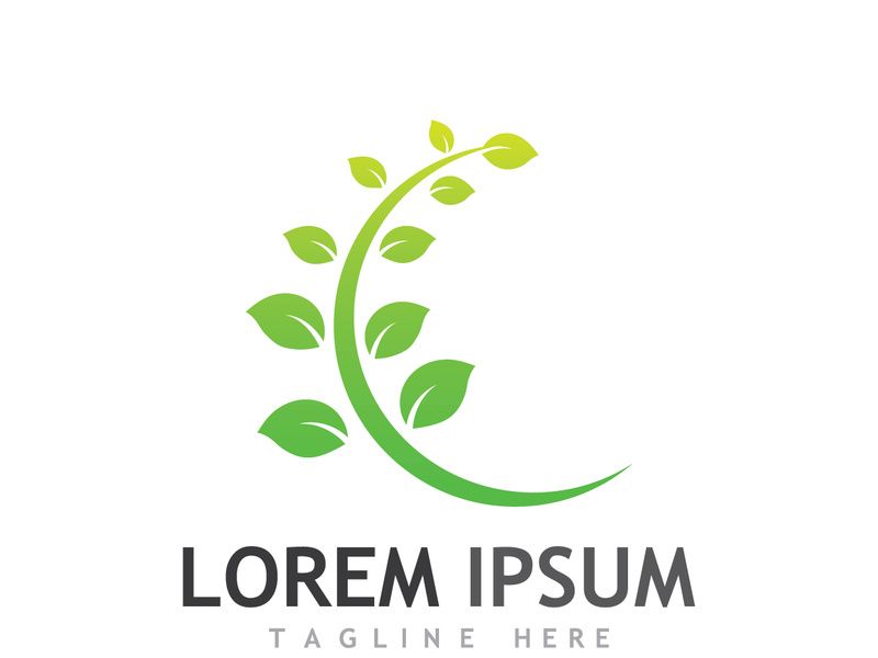 Natural green leaf logo.