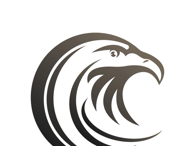Falcon logo template vector illustration design