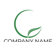 Green leaf logo design vector illustration