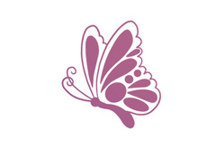 Butterfly, SVG Vector Illustration