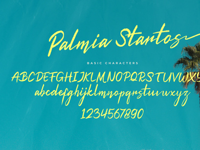 Palmia Startos | Retro Brush Script