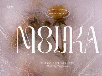 MOLIKA | Display Serif Typeface preview picture