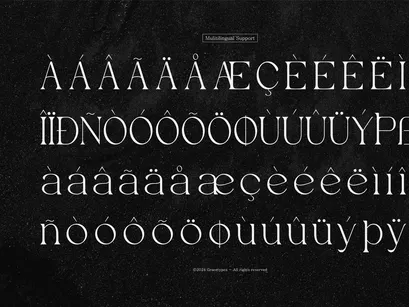 Evoxsy | Elegant Serif