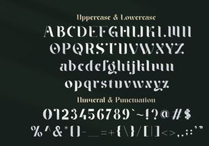 Braga Serif - Classic & Modern